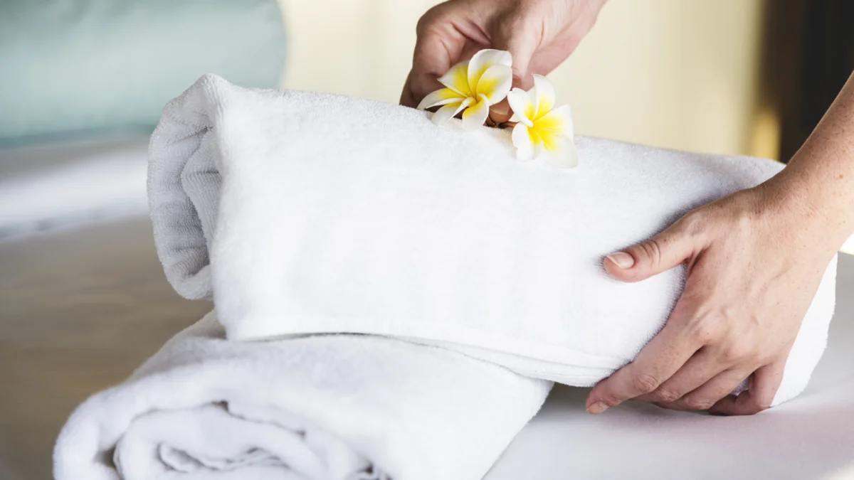 RAVZA HALI ve KOLTUK YIKAMA